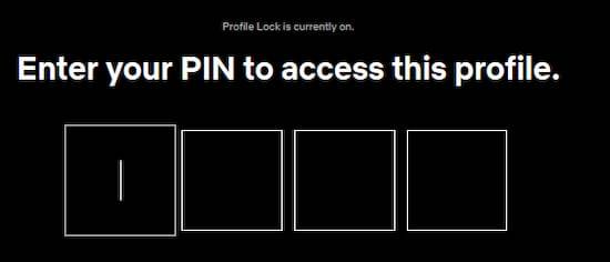 Code Pin Netflix