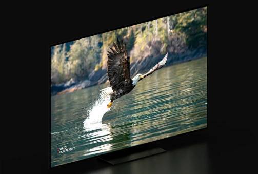 Smart TV pour Netflix