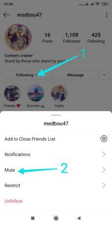 Masquer les publications de quelqu'un sur Instagram