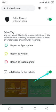 Désactiver les annonces de sites Web dans le navigateur Salamweb