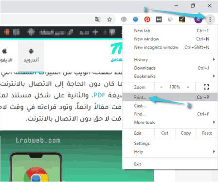 Enregistrer la page Web en tant que fichier PDF sur l'ordinateur