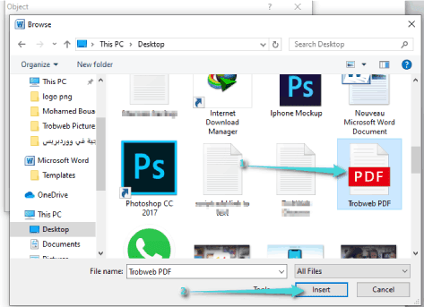 Placer un fichier PDF dans un document Word