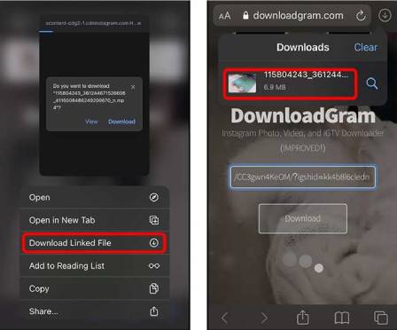 Téléchargez des vidéos Instagram pour iPhone via Safari