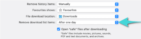 Effacer l'historique de téléchargement sur Safari