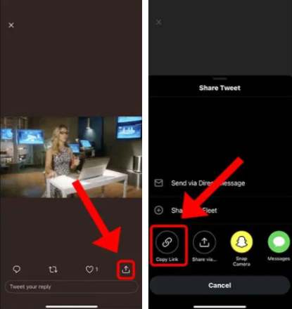 Copiez le lien du Gif sur Twitter afin de le sauvegarder