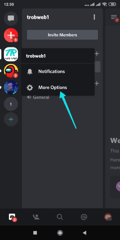 Options de serveur Discord