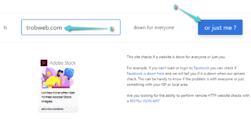 Vérifiez l'état du site Web sur Google Chrome