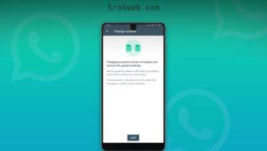 remplacer le numéro WhatsApp