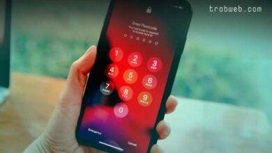 Déverrouillez l'iPhone si vous avez oublié le mot de passe