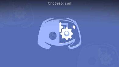 L'un des meilleurs robots Discord
