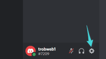 Paramètres utilisateur activés Discord