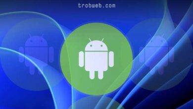 Installez des applications Android sur Windows 11
