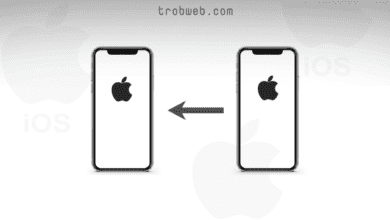 Comment transférer des données d'iPhone à iPhone