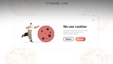 Dois-je accepter les cookies ?