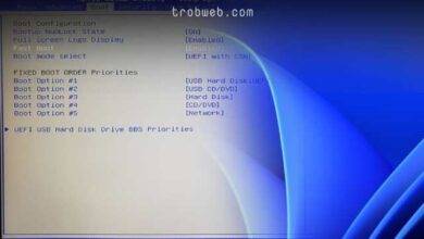 Comment accéder au bios sur Windows 11