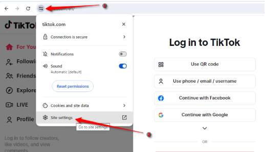 Effacer les données du site Web TikTok sur Google Chrome