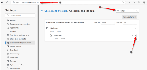 Effacer les données du site Web TikTok sur le navigateur Microsoft Edge