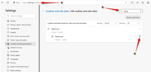 مسح بيانات موقع تيك توك على متصفح مايكروسوفت إيدج